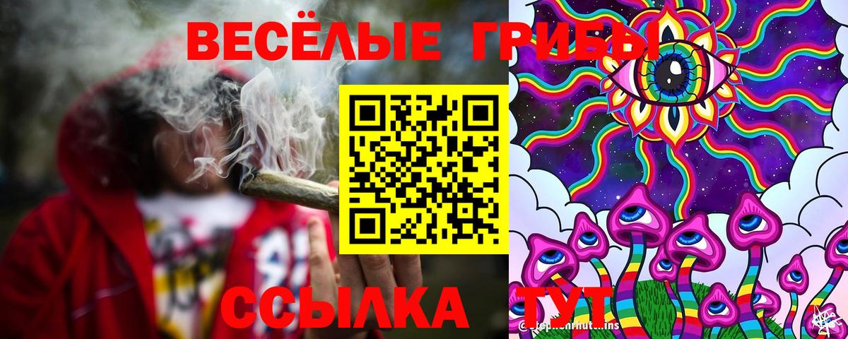Галлюциногенные грибы GOLDEN TEACHER  Вход с VPN  купить наркотик  Алексеевка  Галлюциногенные грибы прущие грибы 